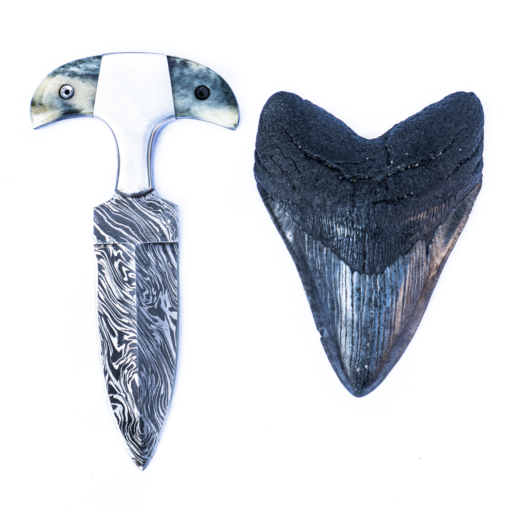Shark Tooth Knife- High Carbon Damascus Steel- Bone Handle