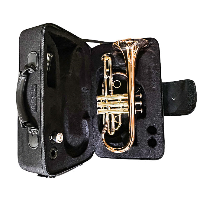 Cornet- Intermediate- Cupronickel Slide- Bb