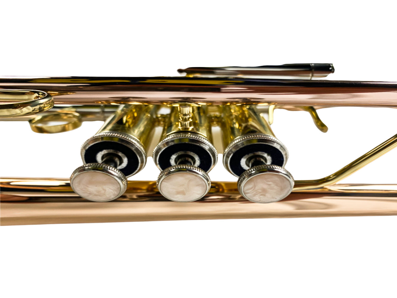 Cornet- Intermediate- Cupronickel Slide- Bb