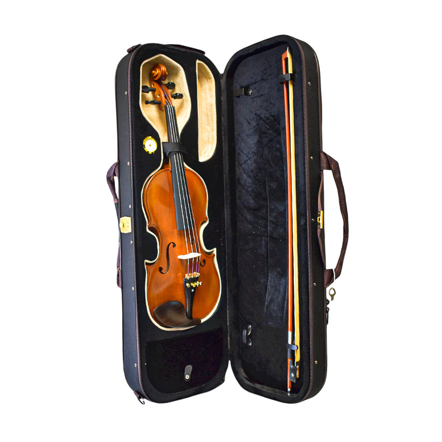 Intermediate Violin - Solid Spruce and Flame Maple - Full Ebony Accessories